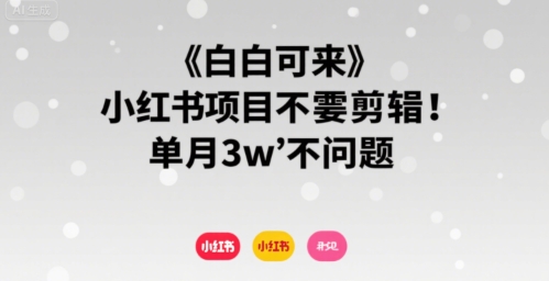 小白可来 小红书项目不需要剪辑 单月3w不是问题-大伟资源网