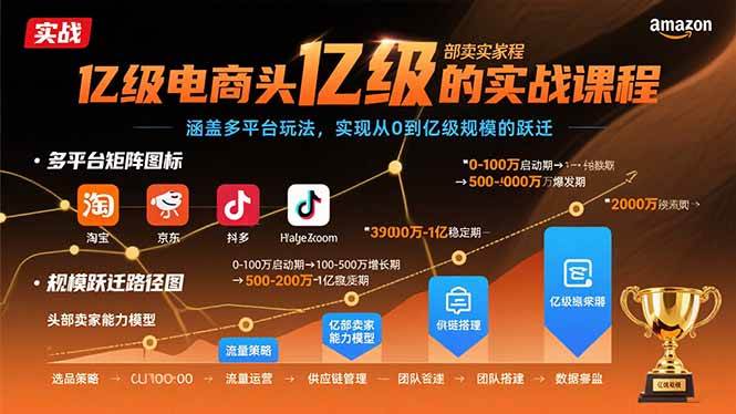 （15803期）亿级电商头部卖家的实战课程：涵盖多平台玩法，实现从0到亿级规模的跃迁-大伟资源网