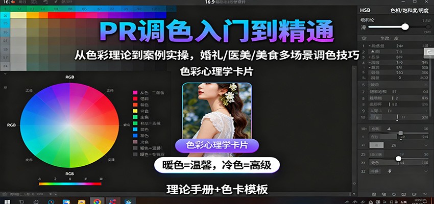 PR调色入门到精通：从色彩理论到案例实操，婚礼/医美/美食多场景调色技巧-大伟资源网