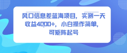 风口信息差蓝海项目，实测一天收益4k+，小白操作简单，可矩阵起号-大伟资源网