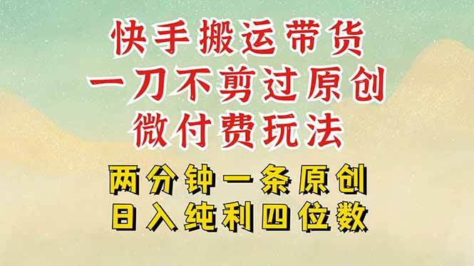 （15577期）快手黑科技搬运带货，一刀不剪过原创，微付费投流玩法，轻松日入四位数…-大伟资源网