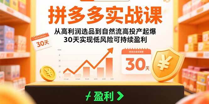 （15586期）拼多多实战课：从高利润选品到自然流高投产起爆 30天实现低风险可持续盈利-大伟资源网