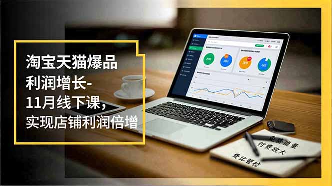 淘宝天猫爆品利润增长-11月线下课，免费流量、付费放大、费比管控，实现店铺利润倍增-大伟资源网