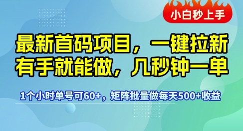 最新首码项目，一键拉新有手就能做，几秒钟一单，1个小时单号可60+，矩阵批量做每天5张【揭秘】-大伟资源网