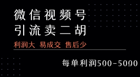 视频号卖二胡教程，利润大 易成交 售后少，一单利润5张+-大伟资源网
