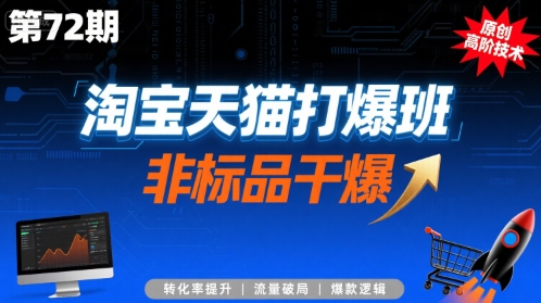 淘宝天猫打爆班原创高阶技术第72期，非标品干爆-大伟资源网