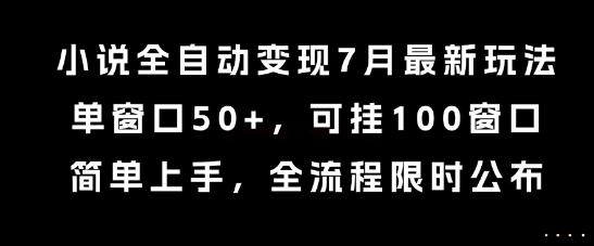 小说全自动变现7月玩法，单窗口50+，可挂100窗口，简单上手，全流程限时公布【揭秘】-大伟资源网