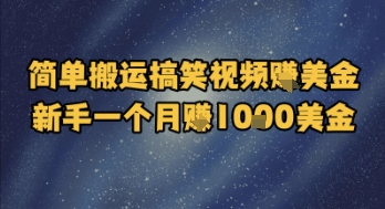简单搬运搞笑视频挣美金，新手一个月入1k美金-大伟资源网