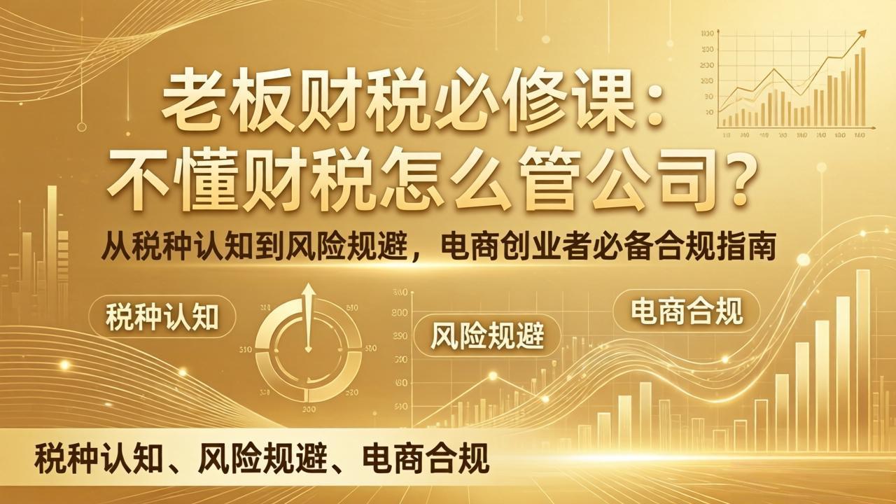 老板财税必修课：不懂财税怎么管公司？从税种认知到风险规避，电商创业者必备合规指南-大伟资源网