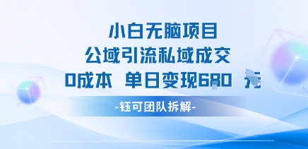 小白无脑项目公域引流私域成交0成本单日变现680米-大伟资源网