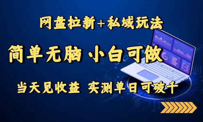 （15744期）网盘拉新+私域玩法，简单无脑，小白可做，当天见收益，实测单日可破千-大伟资源网