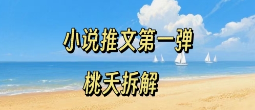 小说推文项目操作全流程第一弹，0粉就能做，门槛低非常适合新手-大伟资源网