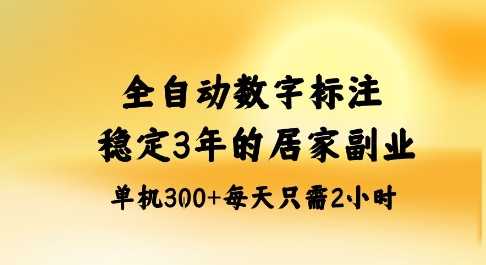 全自动数字标注，稳定3年的蓝海项目，居家也能矩阵开干的副业，单机日入3张+【揭秘】-大伟资源网