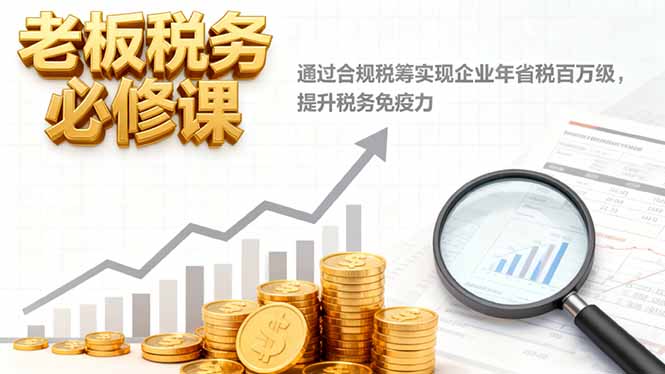 老板税务必修课，通过合规税筹实现企业年省税百万级，提升税务免疫力-大伟资源网