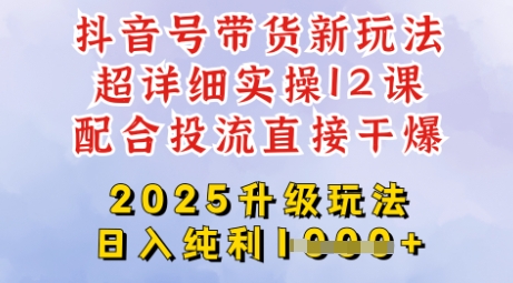 2025全新升级抖音带货玩法，一天纯利四位数，从剪辑到选品再到发布投流，超详细玩法揭秘-大伟资源网