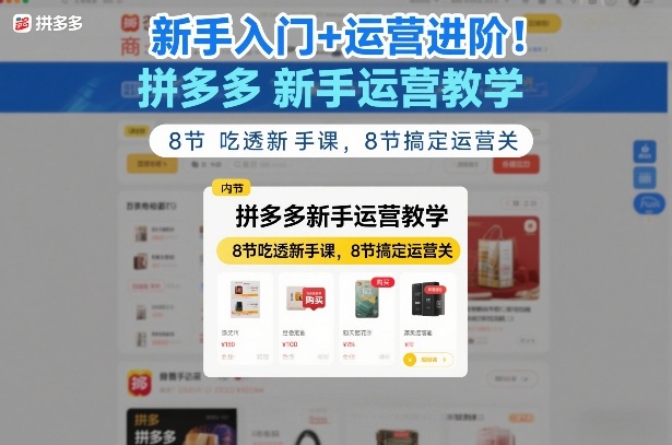 新手入门+运营进阶！拼多多新手运营教学，8节吃透新手课，8节搞定运营关-大伟资源网