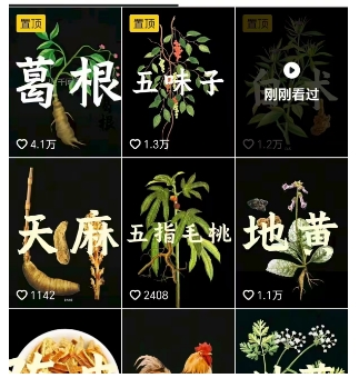 抖音中草药赛道，用AI做中草药故事视频，45条作品涨粉13W，橱窗带货猛猛出单-大伟资源网
