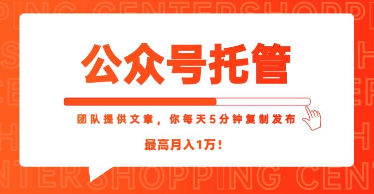 （15109期）【公众号托管 】我提供文章，你每天５分钟复制发布，最高月入1W-大伟资源网