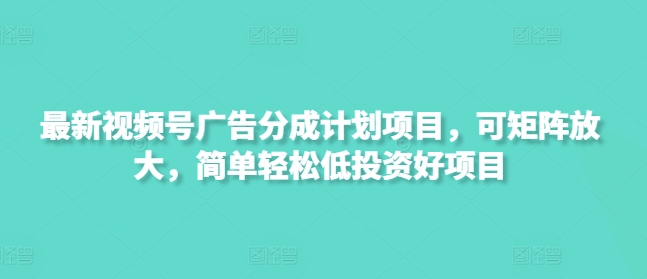 最新视频号广告分成计划项目，可矩阵放大，简单轻松低投资好项目-大伟资源网