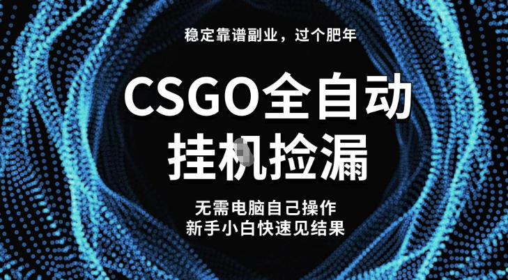 【稳定副业】全球最热门游戏CSGO全自动捡漏，最新玩法，新手小白日入5张+【揭秘】-大伟资源网