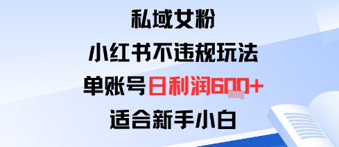 私域女粉：小红书平台不违规玩法单账号日利润6张+适合新手小白-大伟资源网