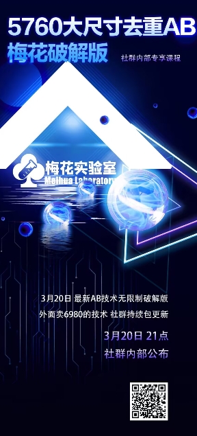 视频号连怼玩法-5760大尺寸去重AB技术-梅花实验室社群专享-大伟资源网