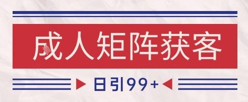 小红书某音橙人赛道引流获客，自热矩阵日引200+【揭秘】-大伟资源网