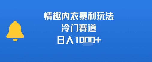 情趣内衣暴利玩法，冷门赛道，日入1k+-大伟资源网