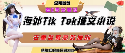 海外tiktok小说推文暴力项目，高停留率，高转化率，上手后一天搞顿饭钱不是问题-大伟资源网