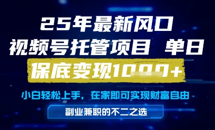 25年最新风口，视频号托管项目，单日保底变现1k+，手把手教学【揭秘】-大伟资源网