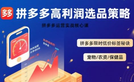 拼多多选品暴利技术实战课，拼多多高利润选品策略，拼多多限时低价标签秘诀-大伟资源网