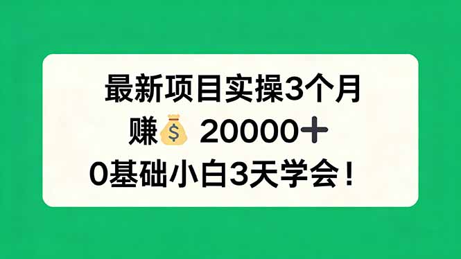 最新项目实操3个月，赚钱20000+，0基础小白3天学会！-大伟资源网