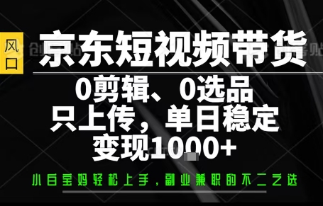 你出账号，我来运营，保底日入1k+，开启躺賺模式【揭秘】-大伟资源网