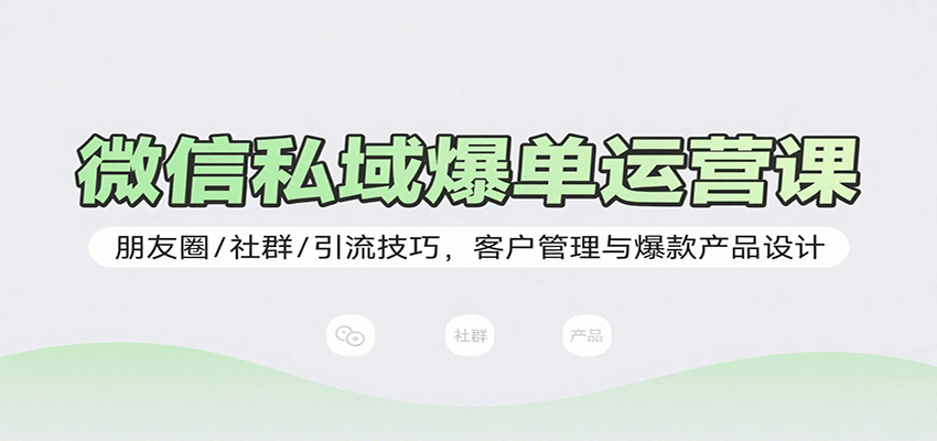 微信私域爆单运营课：朋友圈/社群/引流技巧，客户管理与爆款产品设计-大伟资源网