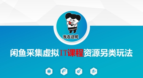 闲鱼采集虚拟IT课程资源另类玩法，干货满满-大伟资源网