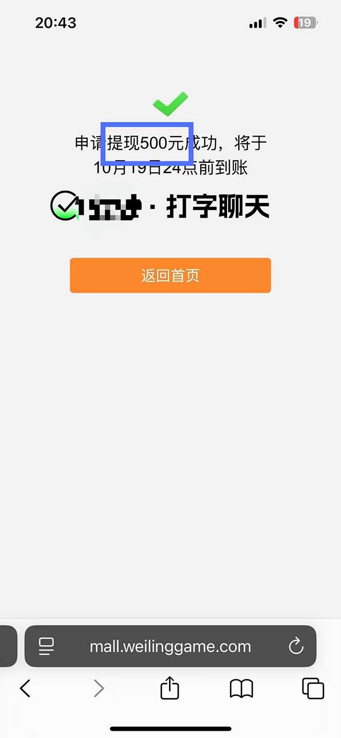 图片[2]-打字搞钱，1小时狂赚300+多劳多得，有手就能做！-大伟资源网