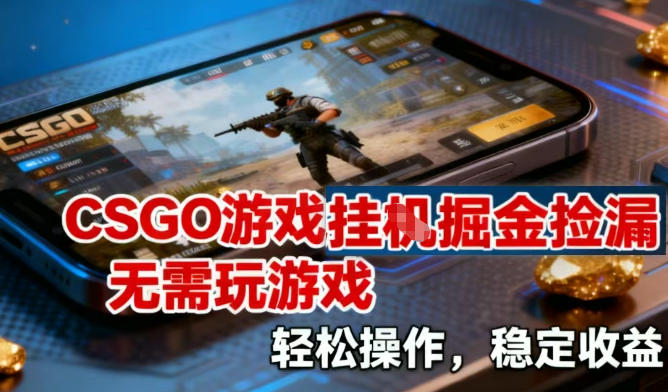 CSGO游戏挂G掘金捡漏，不需要玩游戏，操作简单，收益稳定【揭秘】-大伟资源网