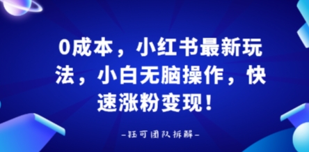 0成本，小红书最新玩法，小白无脑操作，快速涨粉变现-大伟资源网