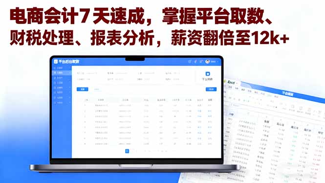 电商会计7天速成，掌握平台取数、财税处理、报表分析，薪资翻倍至12k+-大伟资源网