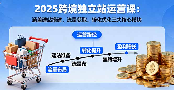 2025跨境独立站运营课：涵盖建站搭建、流量获取、转化优化三大核心模块-大伟资源网