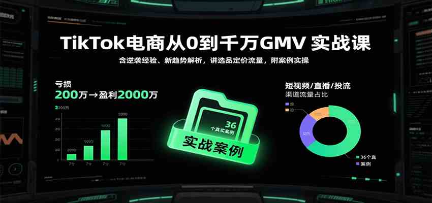 TikTok电商从0到千万GMV实战课，含逆袭经验、新趋势解析，讲选品定价流量，附案例实操-大伟资源网