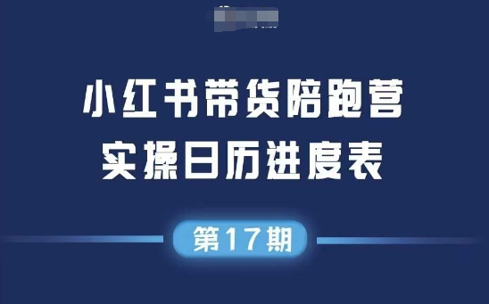 小红书第17期带货陪跑营，不囤货，无不直播，无不投流，通过选品+笔记内容+测品+笔记铺量+矩阵运营打爆款-大伟资源网