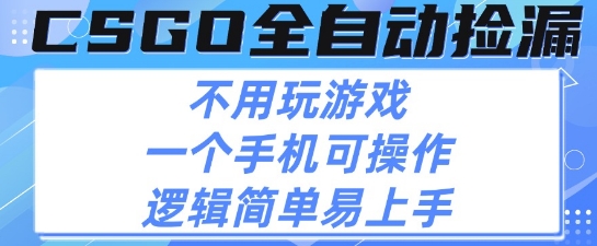 CSGO自动捡漏项目，最新独家玩法，不用挂G不用玩游戏，一个手机即可操作，新手小白轻松月入1W+【揭秘】-大伟资源网