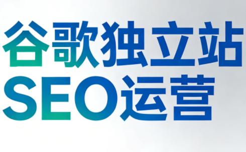 谷歌独立站SEO运营(更新2026)-大伟资源网