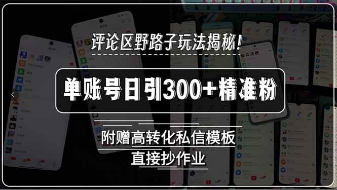 （15466期）评论区野路子玩法揭秘！单账号日引300+精准粉，附赠高转化私信模板，直…-大伟资源网