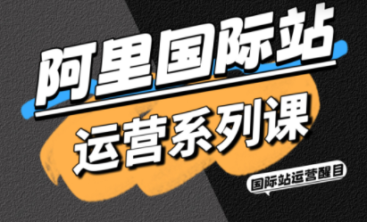 醒目老师·阿里国际站运营系列课(更新3月)-大伟资源网