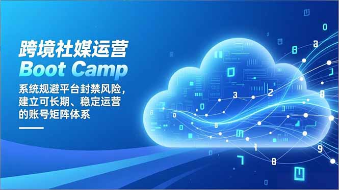 跨境社媒运营Boot Camp：系统规避平台封禁风险，建立可长期、稳定运营的账号矩阵体系-大伟资源网