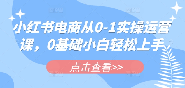 小红书电商从0-1实操运营课，0基础小白轻松上手-大伟资源网