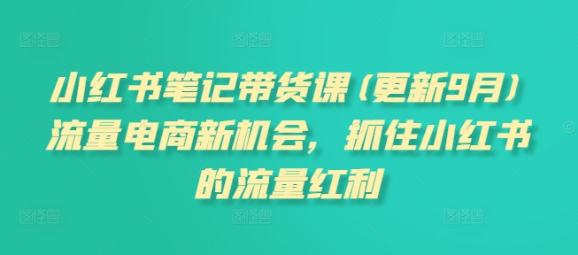 小红书笔记带货课(更新25年6月)流量电商新机会，抓住小红书的流量红利-大伟资源网