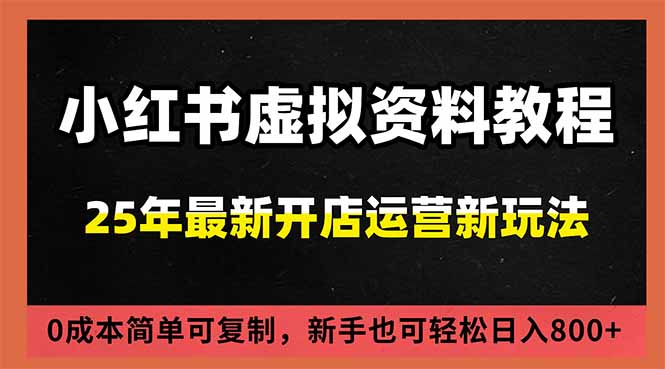 小红书虚拟资料项目：最新搜索流变现玩法，0成本简单可复制，一人多店打法，新手日入800+-大伟资源网